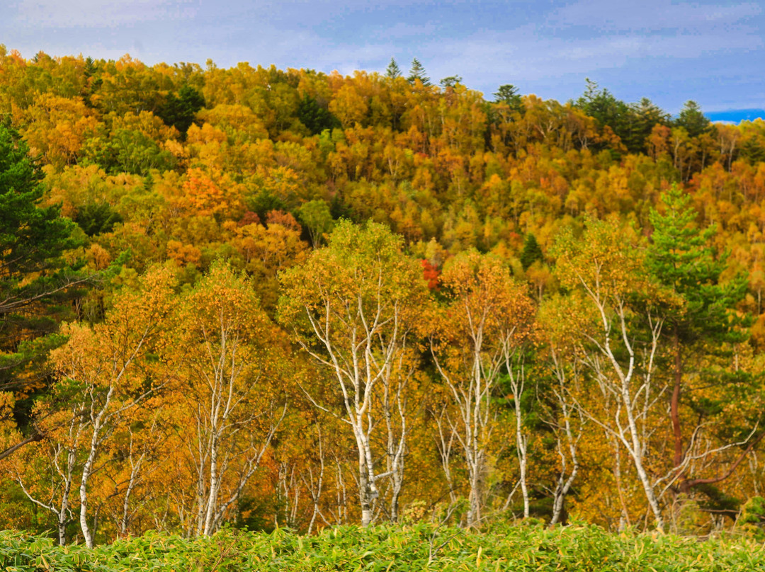 Gomiike Hafu Kogen  Nature Park景点图片