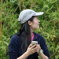 静影落枫