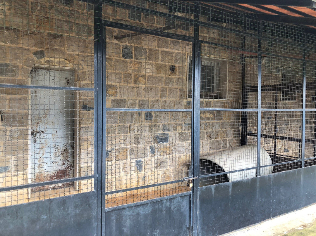 Ferme Mar Chaaya-Broummana必去景点