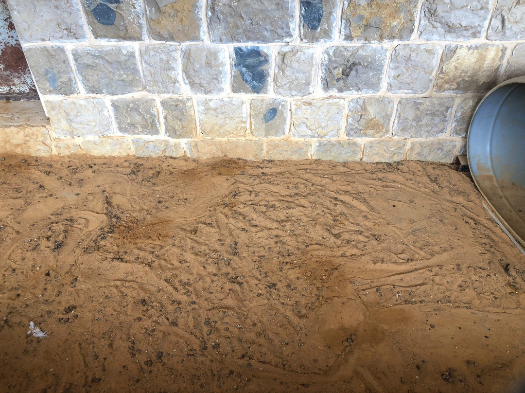 Ferme Mar Chaaya-Broummana必去景点