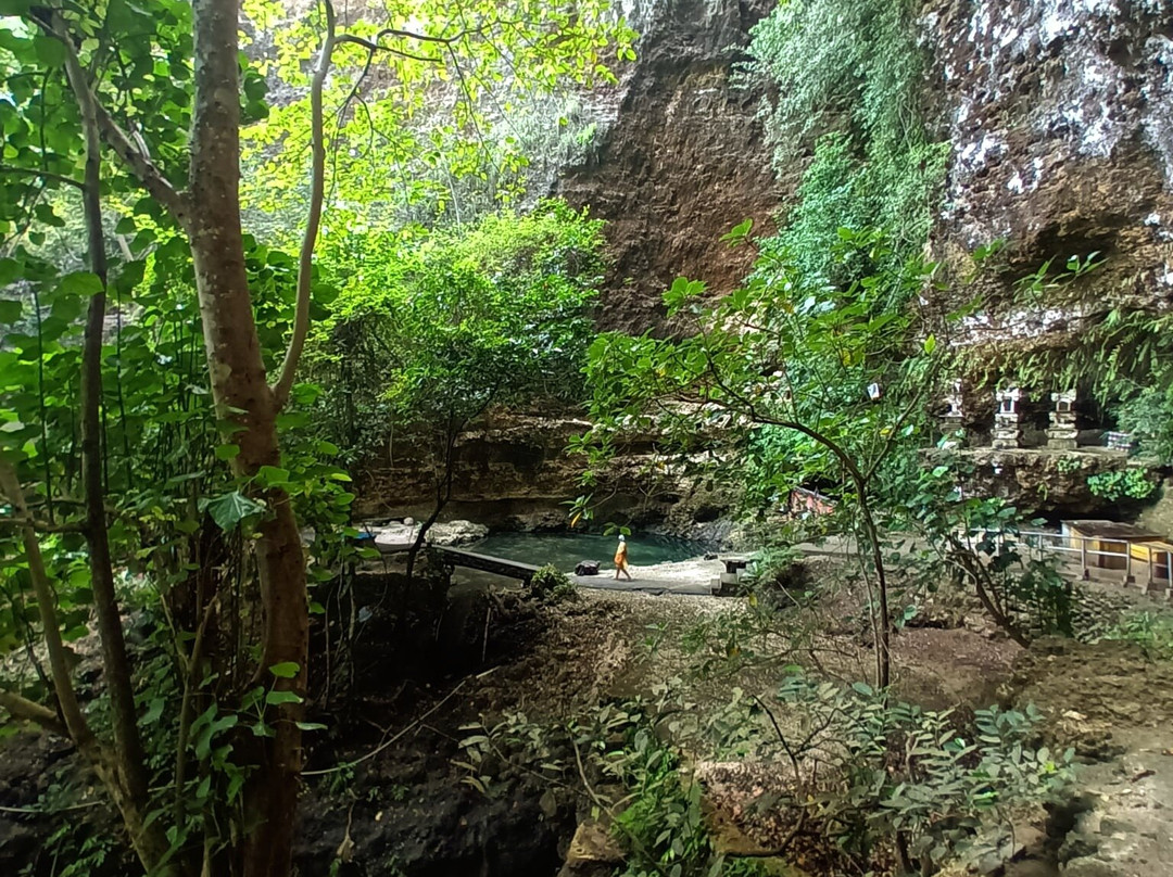 Temeling Jungle Inn主图