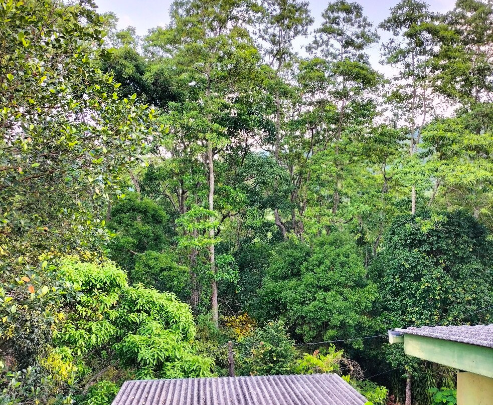 汉莎纳假日客房酒店主图