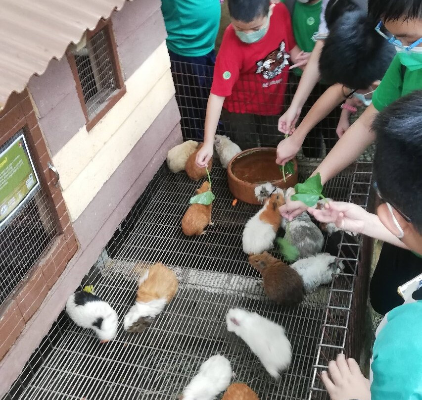 Farm In The City-雪州必去景点
