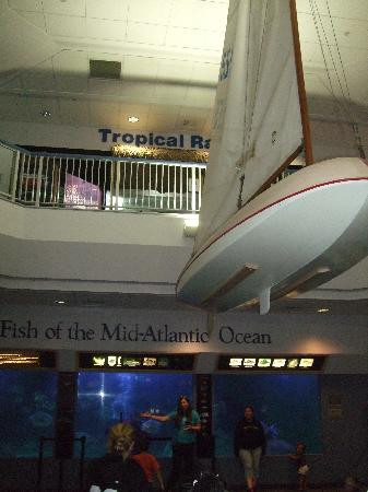 Atlantic City Aquarium Historic Gardner's Basin景点图片