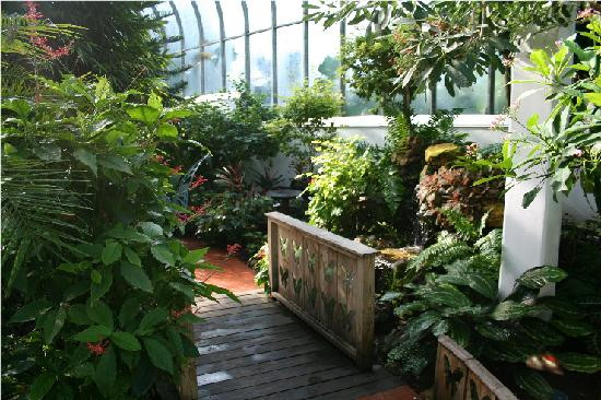 西礁岛蝴蝶自然温室-基韦斯特必去景点