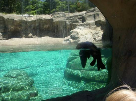 Oregon Coast Aquarium-纽波特必去景点