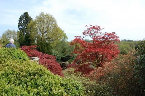 Scotney Castle Garden景点图片
