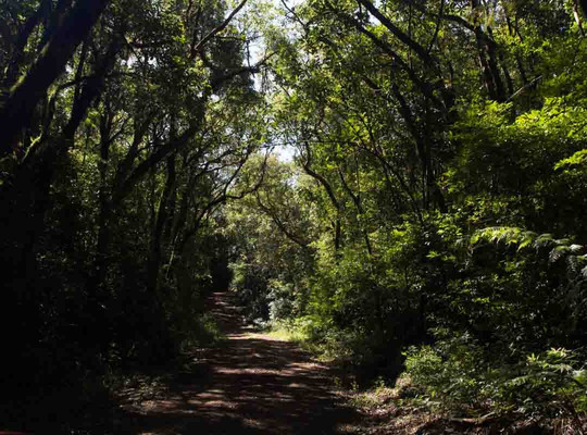 Mirante na descida do Ferrabraz-Sapiranga必去景点