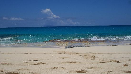Long Beach-圣马丁岛必去景点