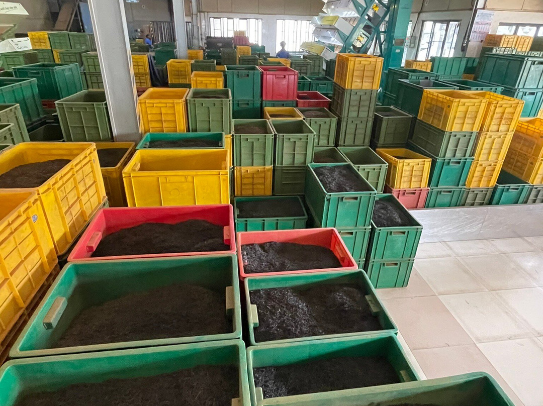 Tea Library-Akuressa必去景点