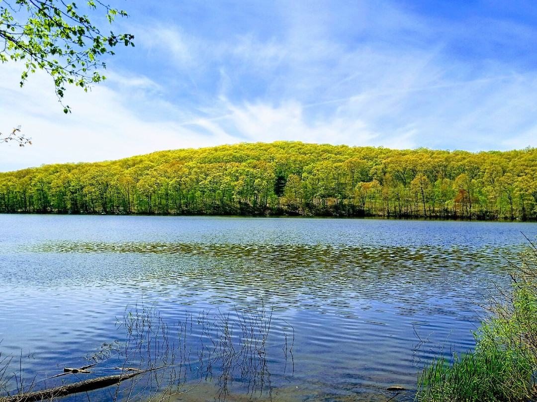 Shenipsit Lake Trail - Blue Blazed-埃林顿必去景点
