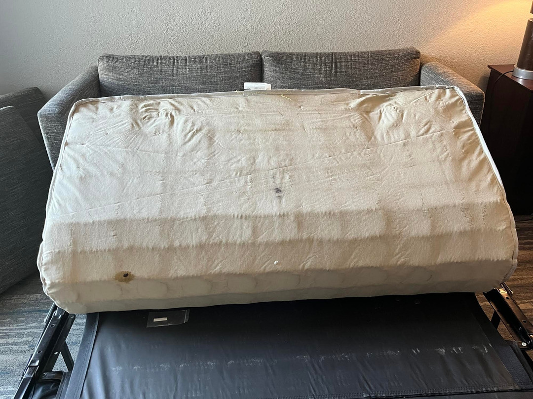 金斯顿希尔顿恒庭酒店主图