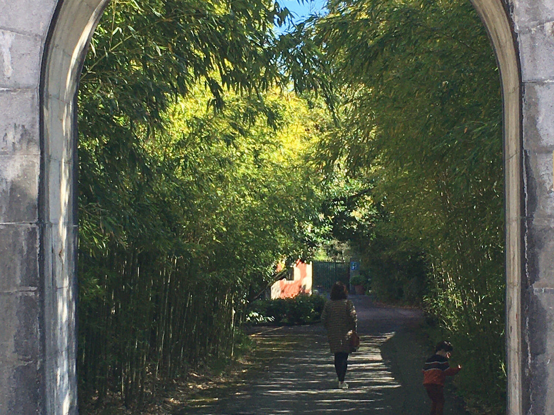 苏比塔酒店主图