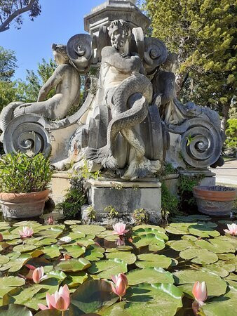 Orto Botanico di Portici景点图片