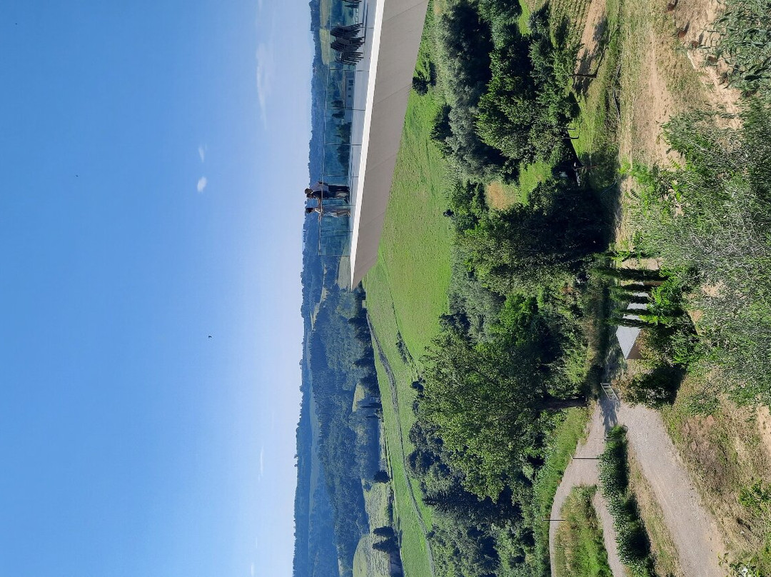 Terrazza Panoramica景点图片