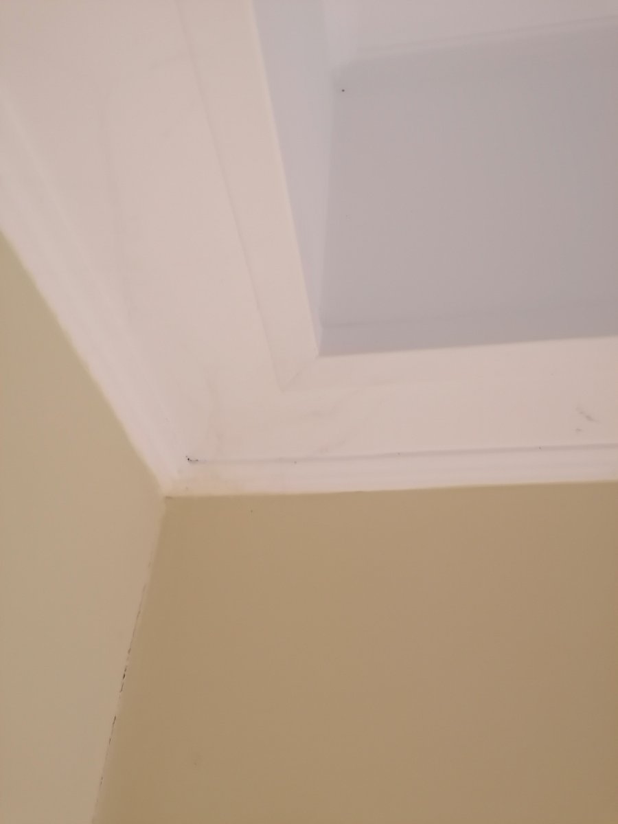 贝斯特韦斯特罗玛托维迦塔酒店-官方