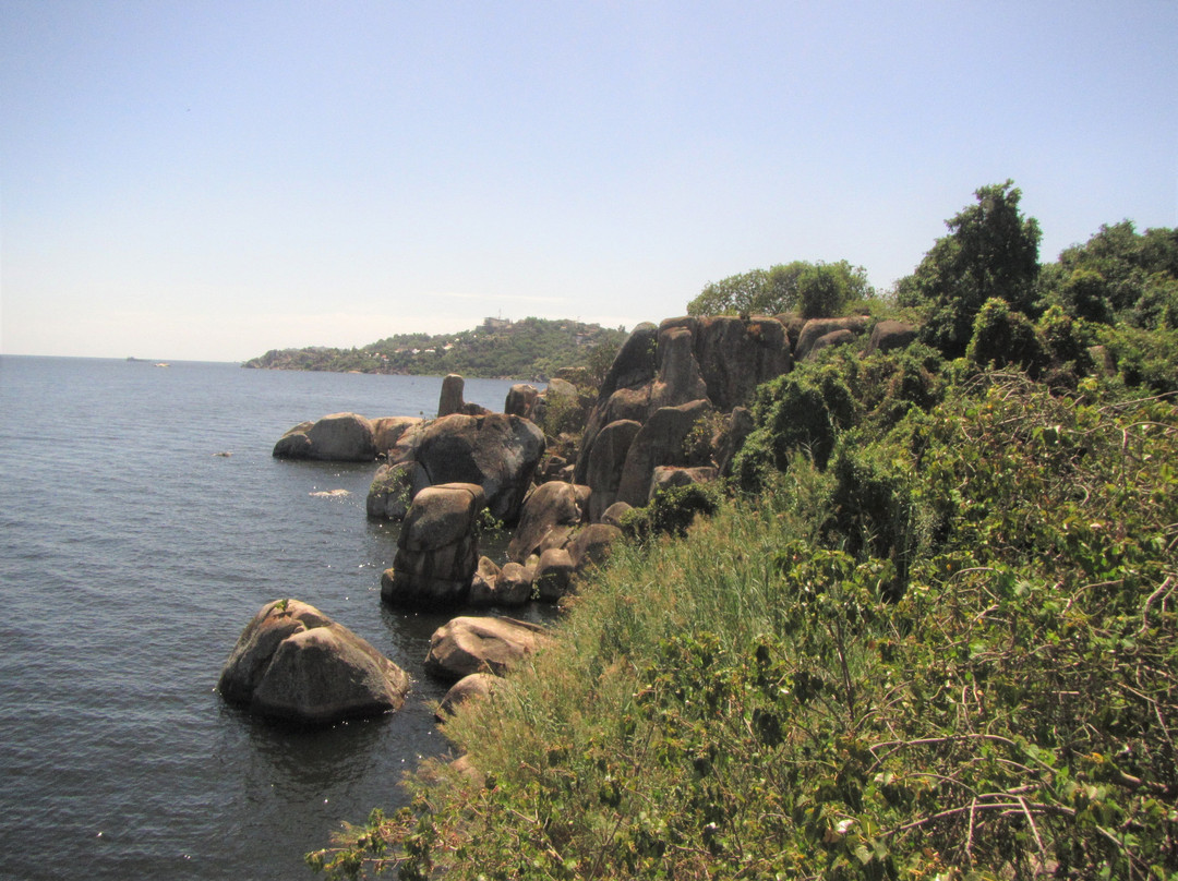 Saanane Island National Park景点图片