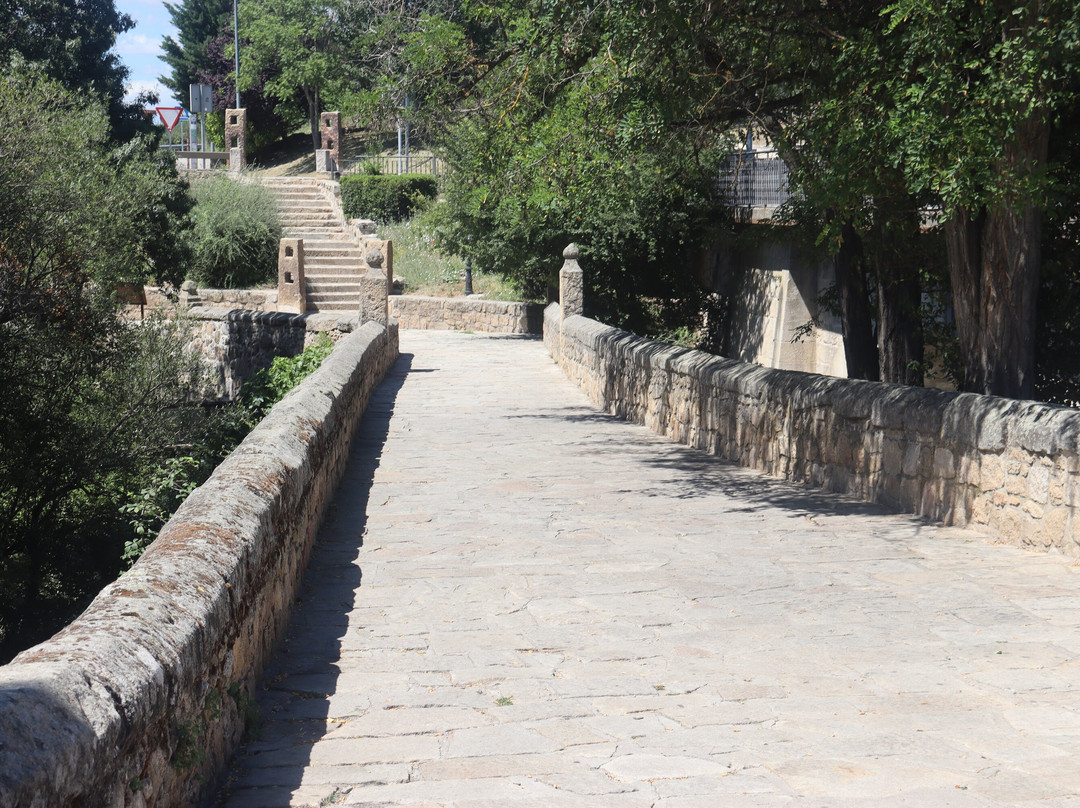 Puente de la Cañada Real o Puente Viejo-Manzanares el Real必去景点