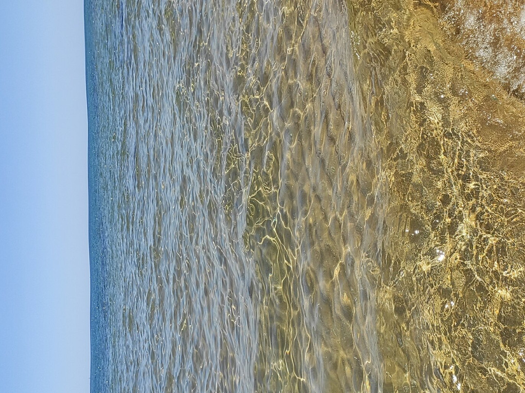 无花果村营地