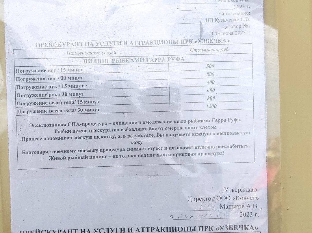 Lake Bolshoye Yarovoye-Yarovoye必去景点