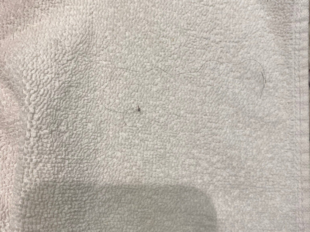 Lagoon Prime Hotel主图