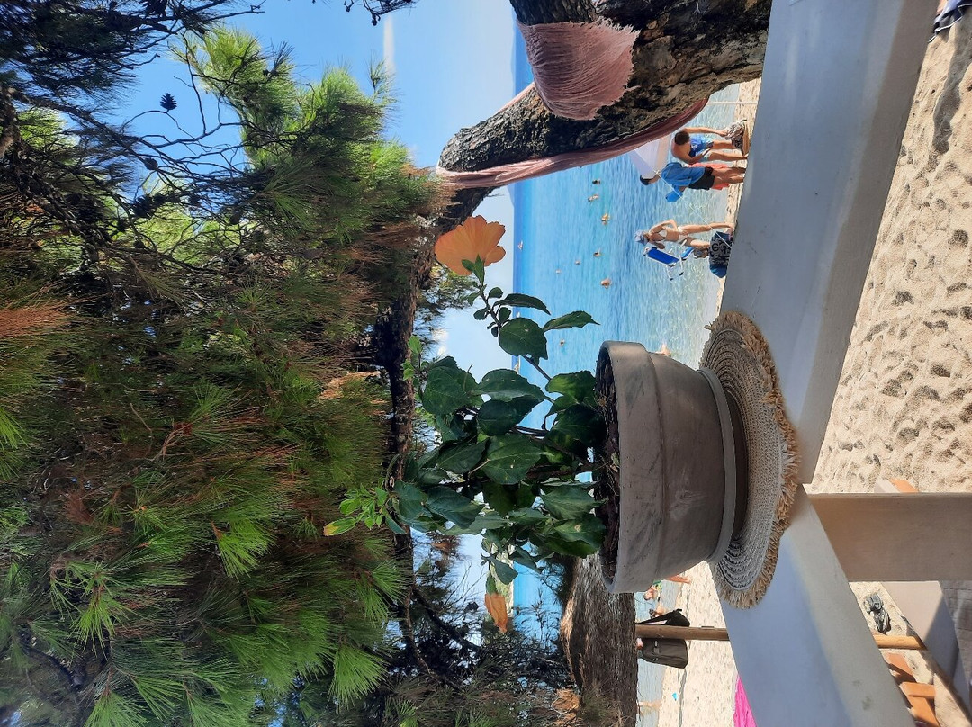 Isla Beach Bar-Nikiti必去景点