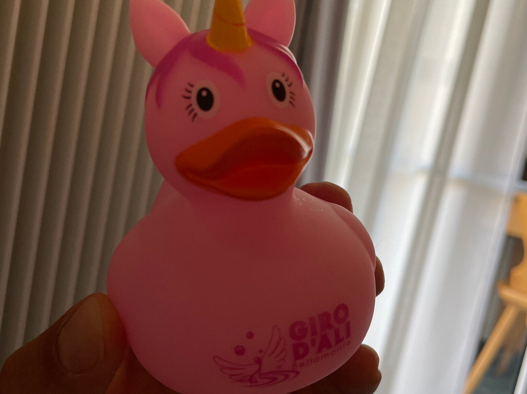 Giro d'Ali Parco Aquatico景点图片