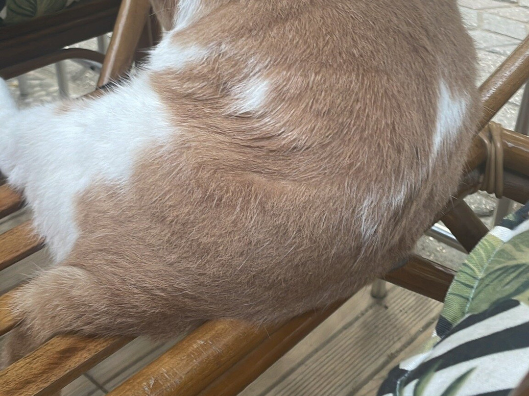 Durak Hotel & Restaurant主图