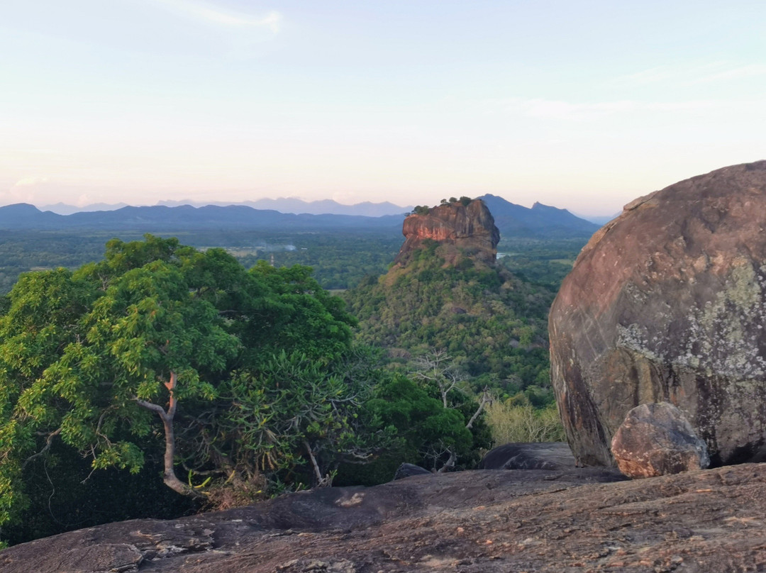 Ceylon Walkers景点图片