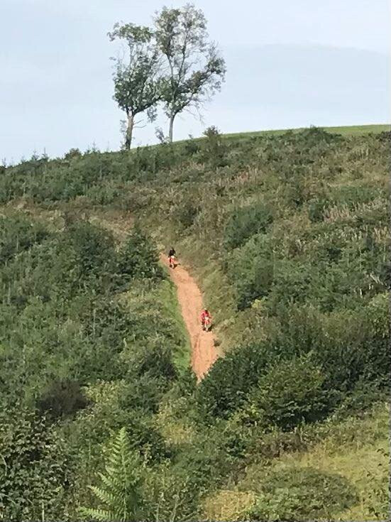 Dave Thorpe Honda Off-Road Centre景点图片