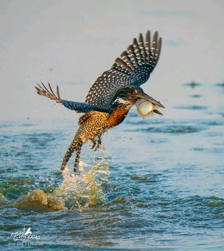 Pearl of Africa resort @ bunuonyi