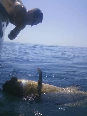 Paradise Fishing Charters-Don Pedro Island必去景点