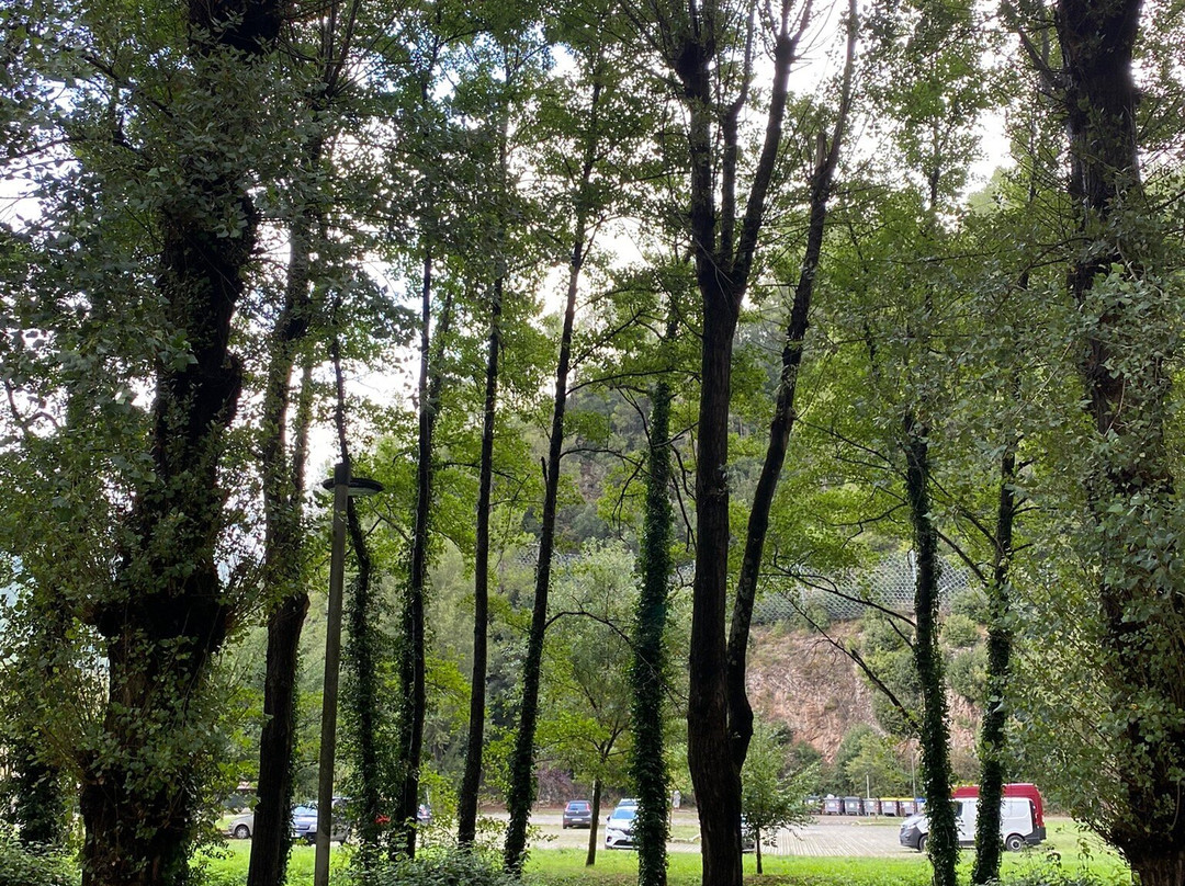 Borgo di Scheggino景点图片