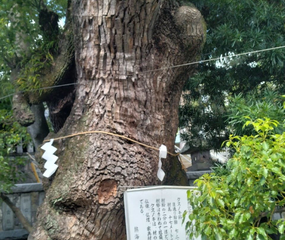 Yuzen Shrine-热海市必去景点