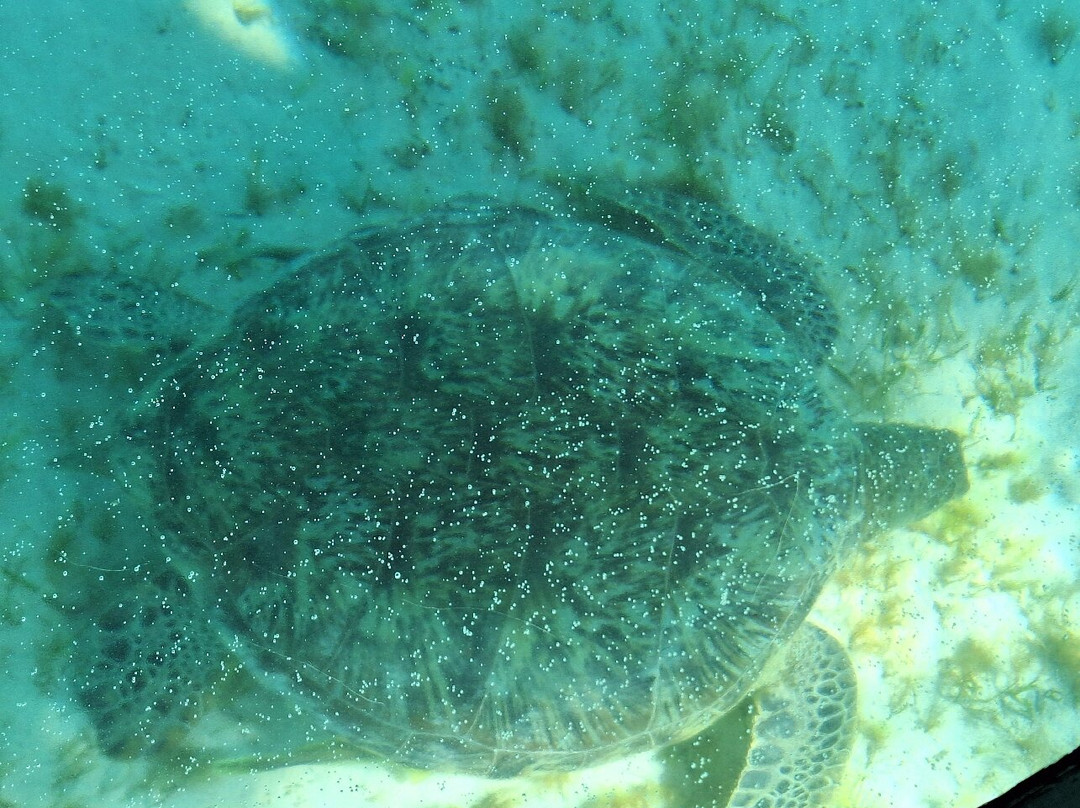 Ouest Corail-Bourail必去景点