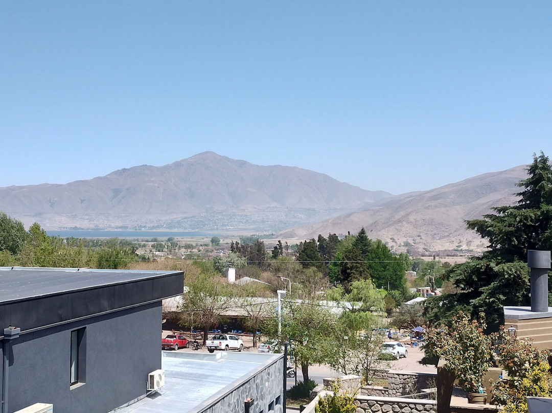 Cabañas La Madrina主图