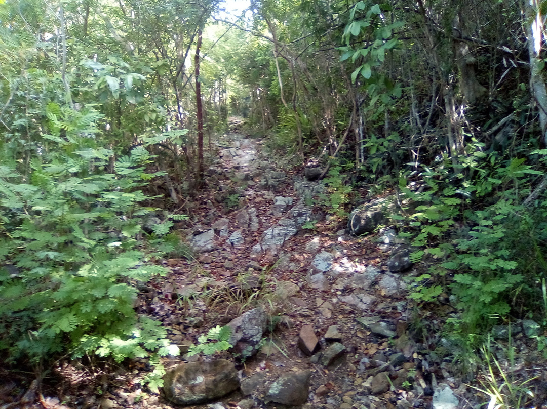 L’Esperance Trail-维尔京群岛国家公园必去景点