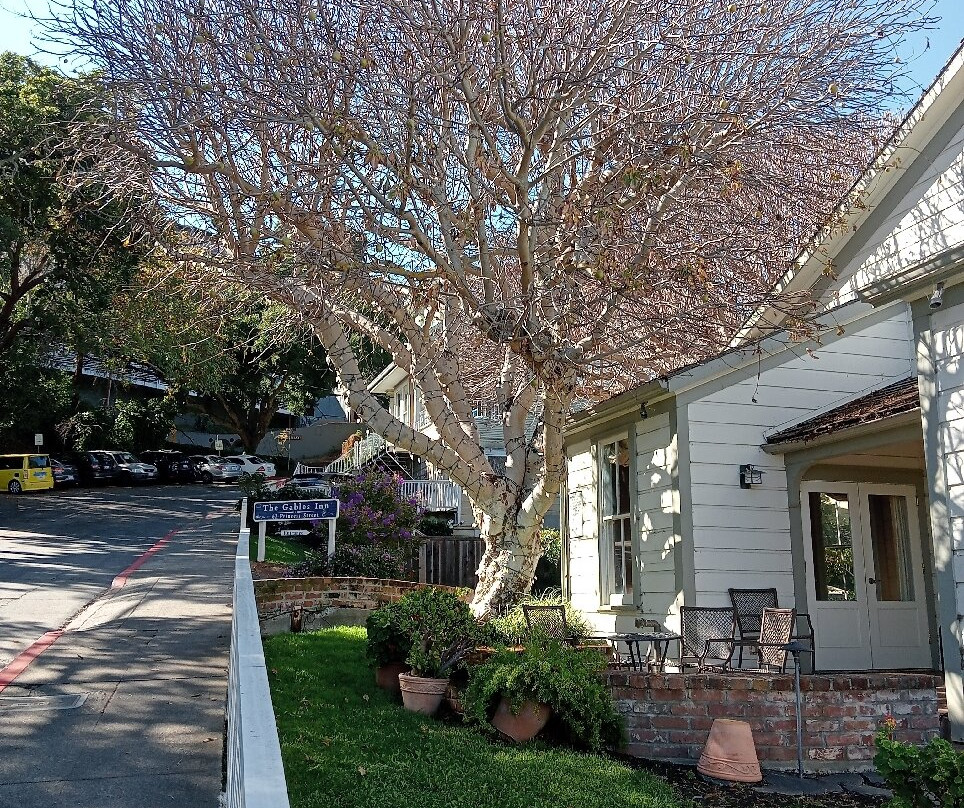 索萨利托山墙酒店主图