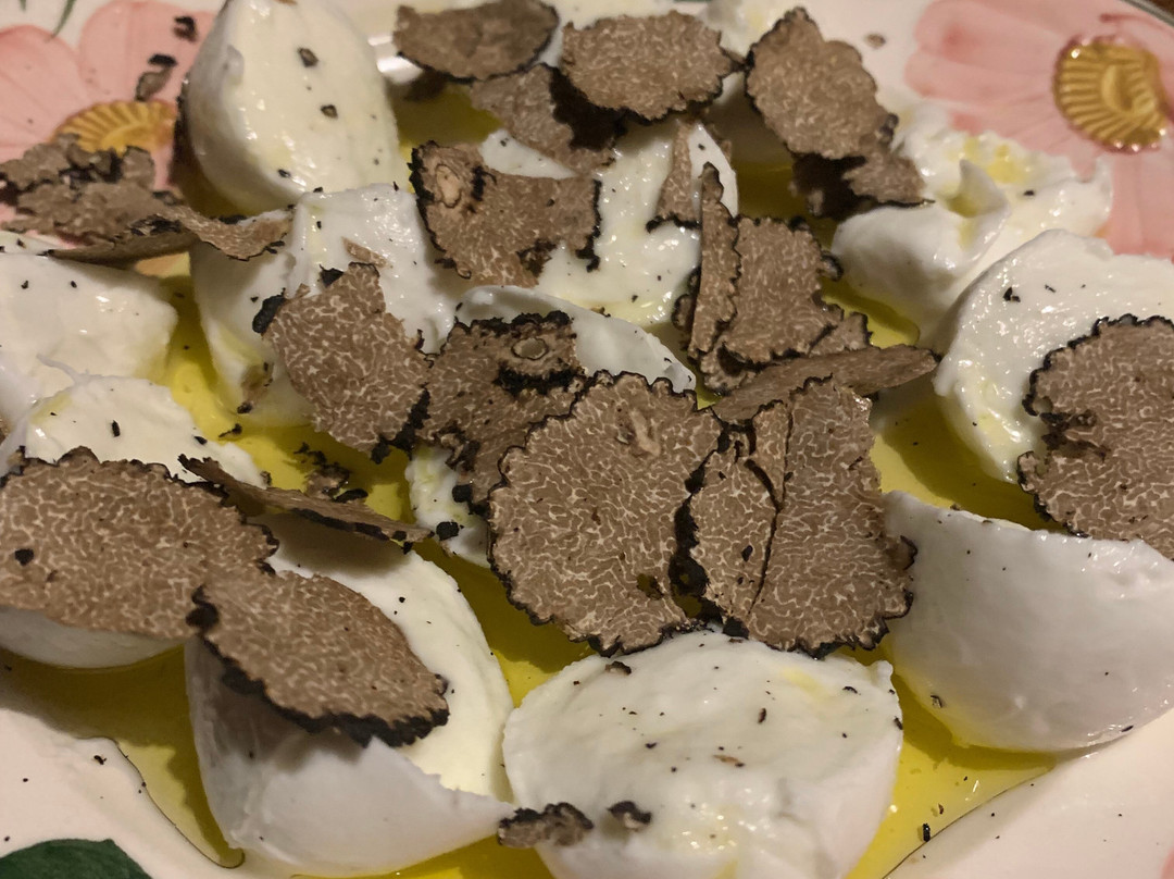 Giulio the Truffle Hunter-巴尼奥阿里波利必去景点