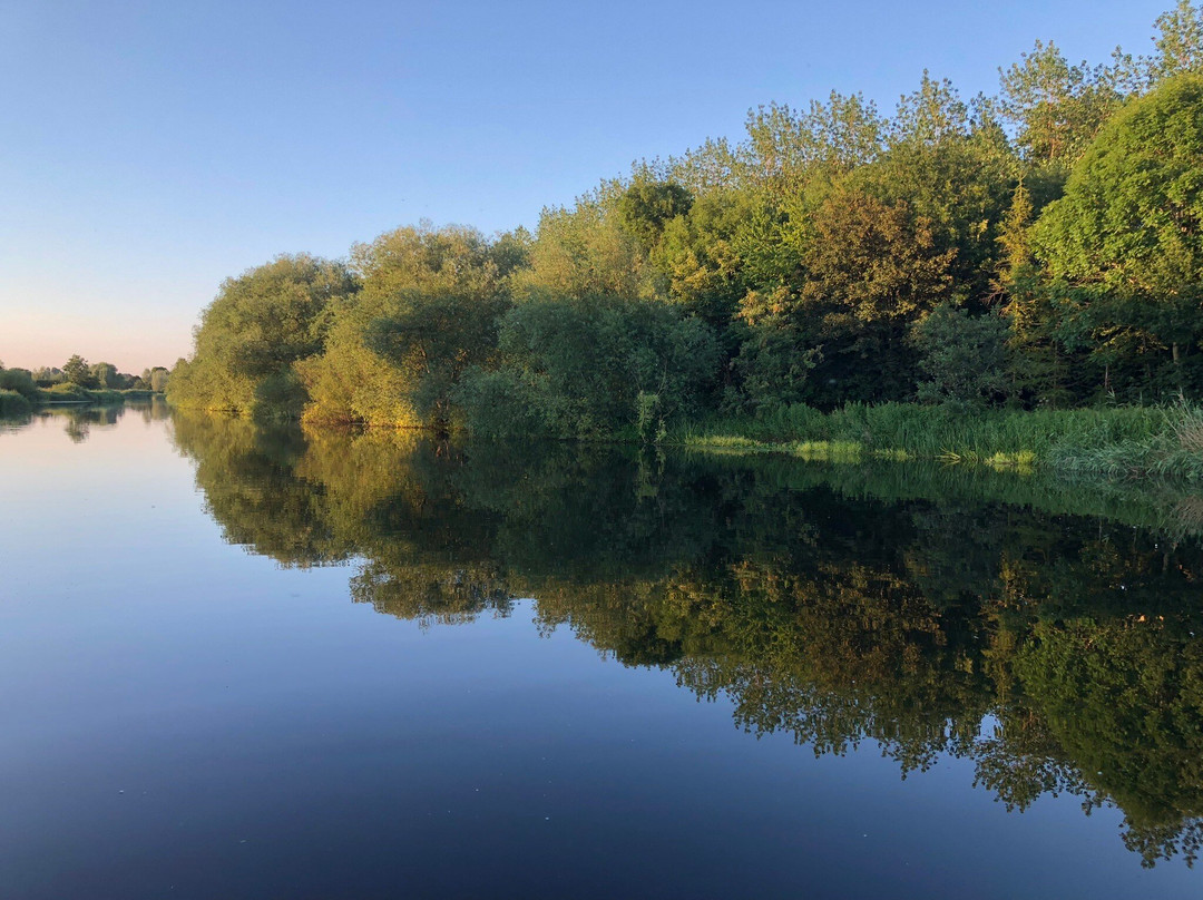 Avon Meadows Community Wetland景点图片