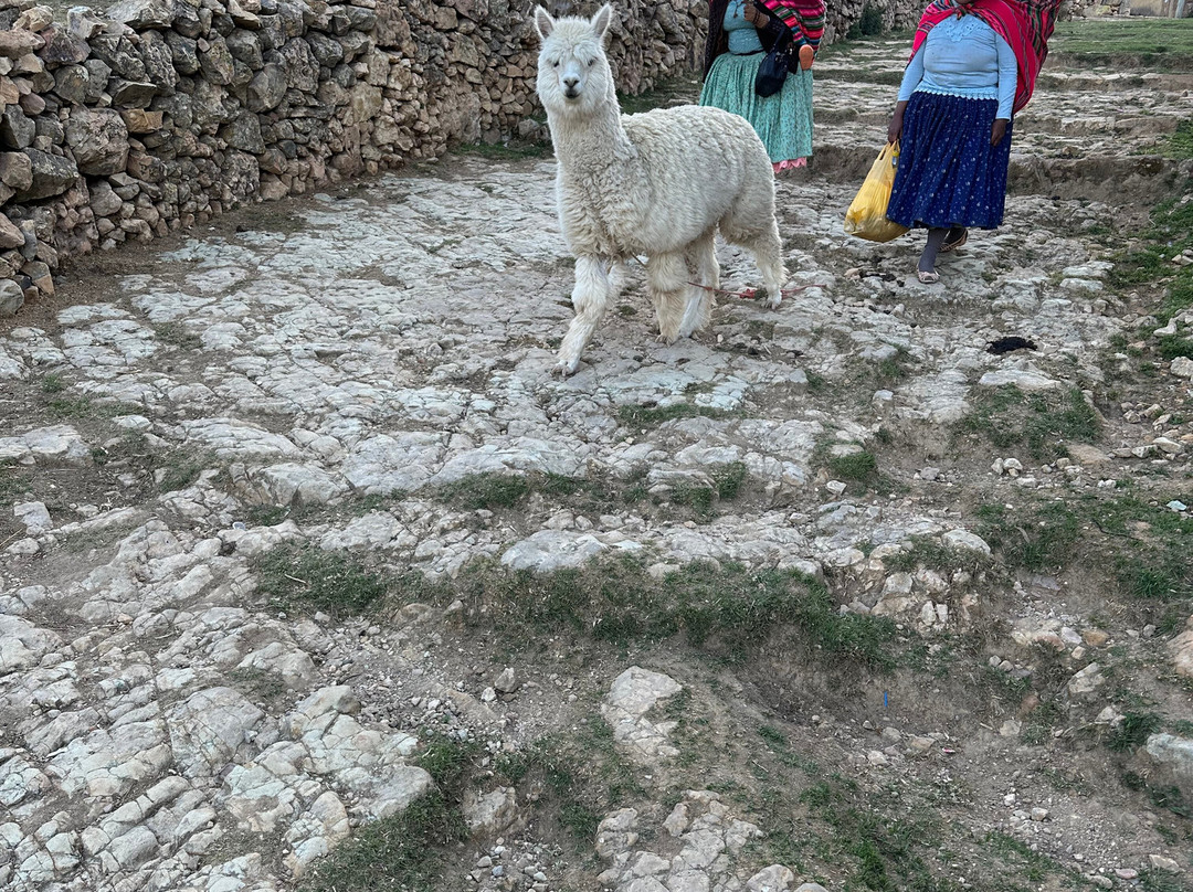 Posada Del Inca Eco-Lodge主图