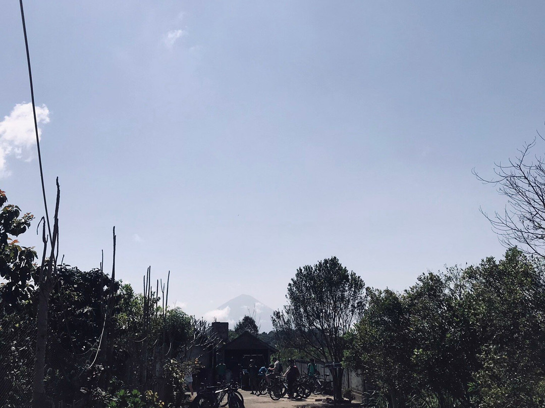 Bali Drive Service-乌布必去景点