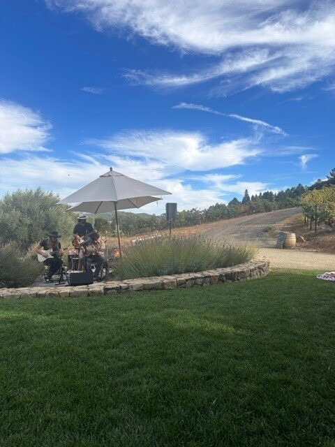 Bella Vineyards and Wine Caves景点图片