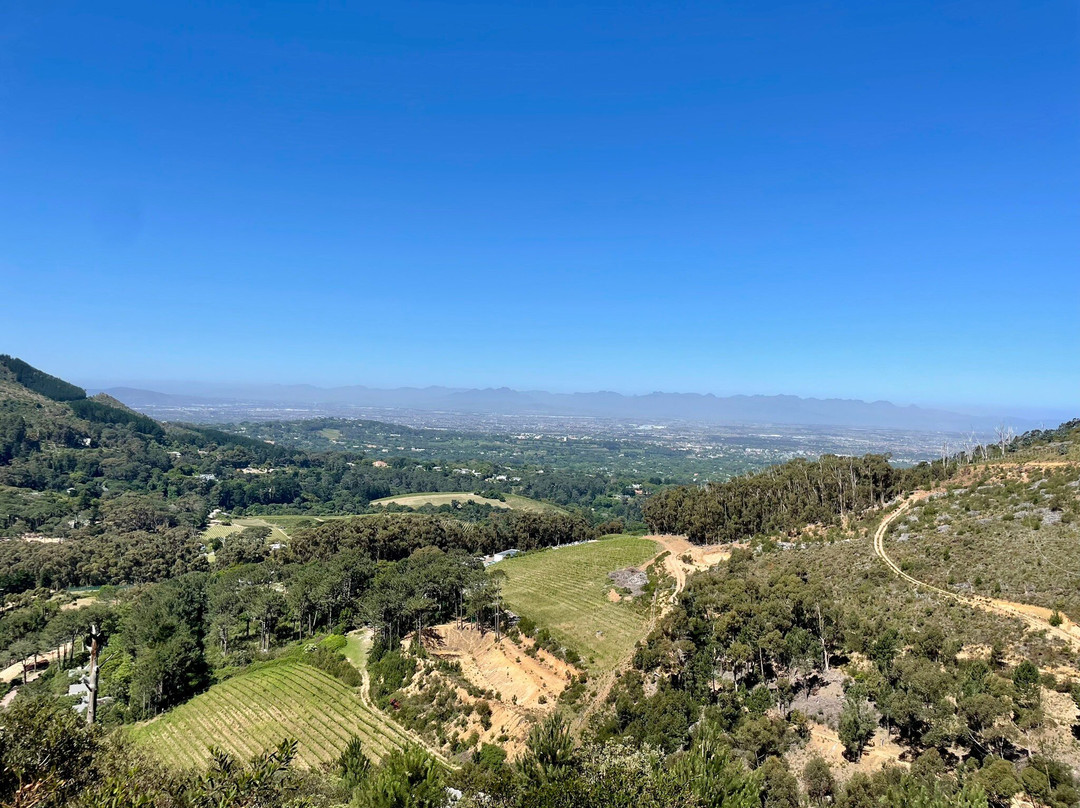 SA Forest Adventures-康士坦提亚必去景点