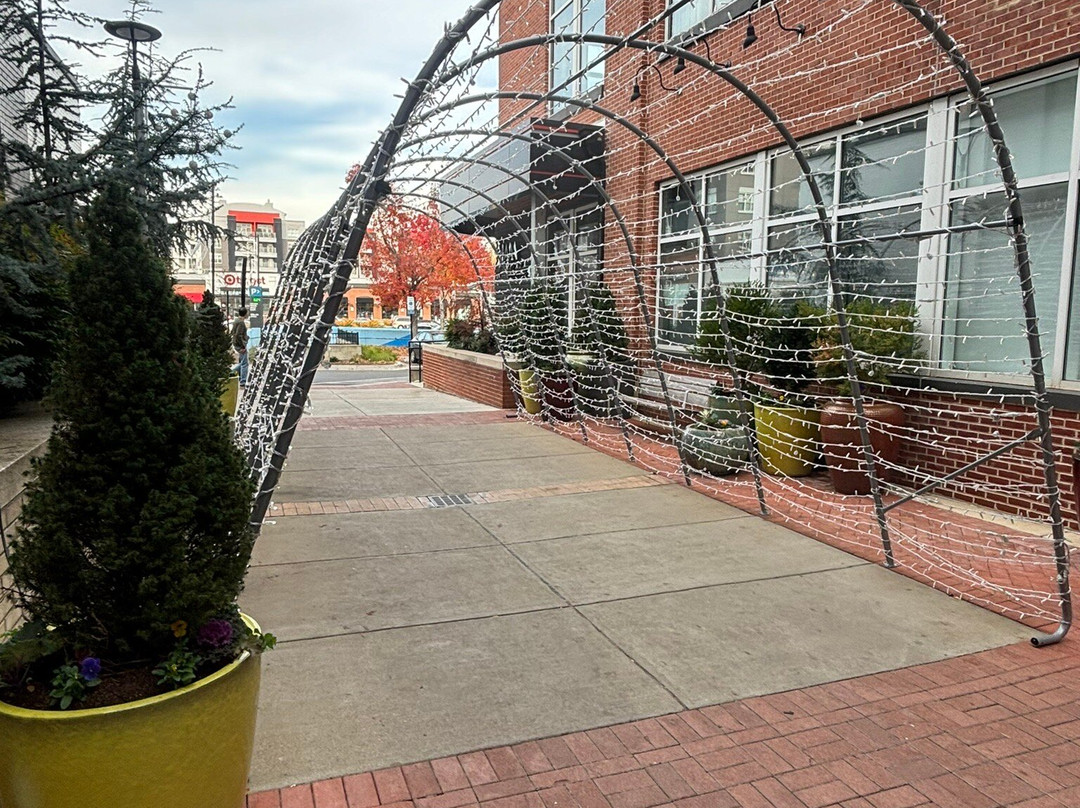 Pentagon Row-阿灵顿必去景点