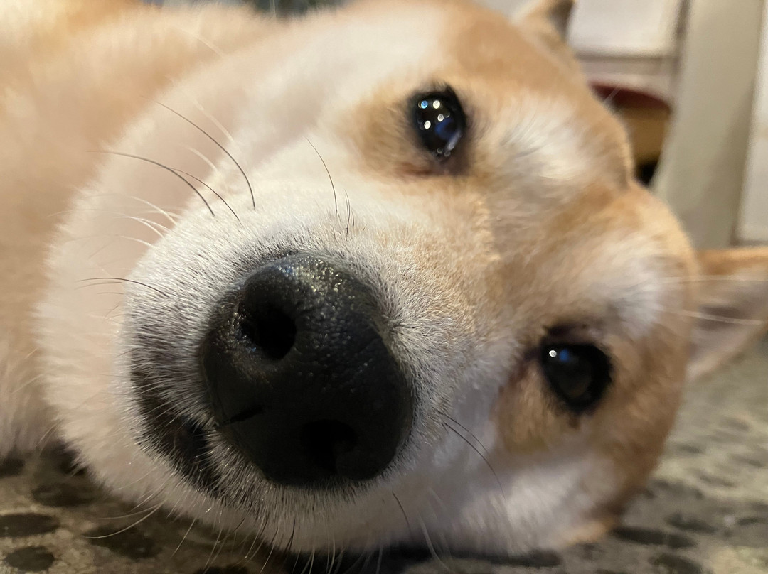 Cafe Ryoma-京都市必去景点