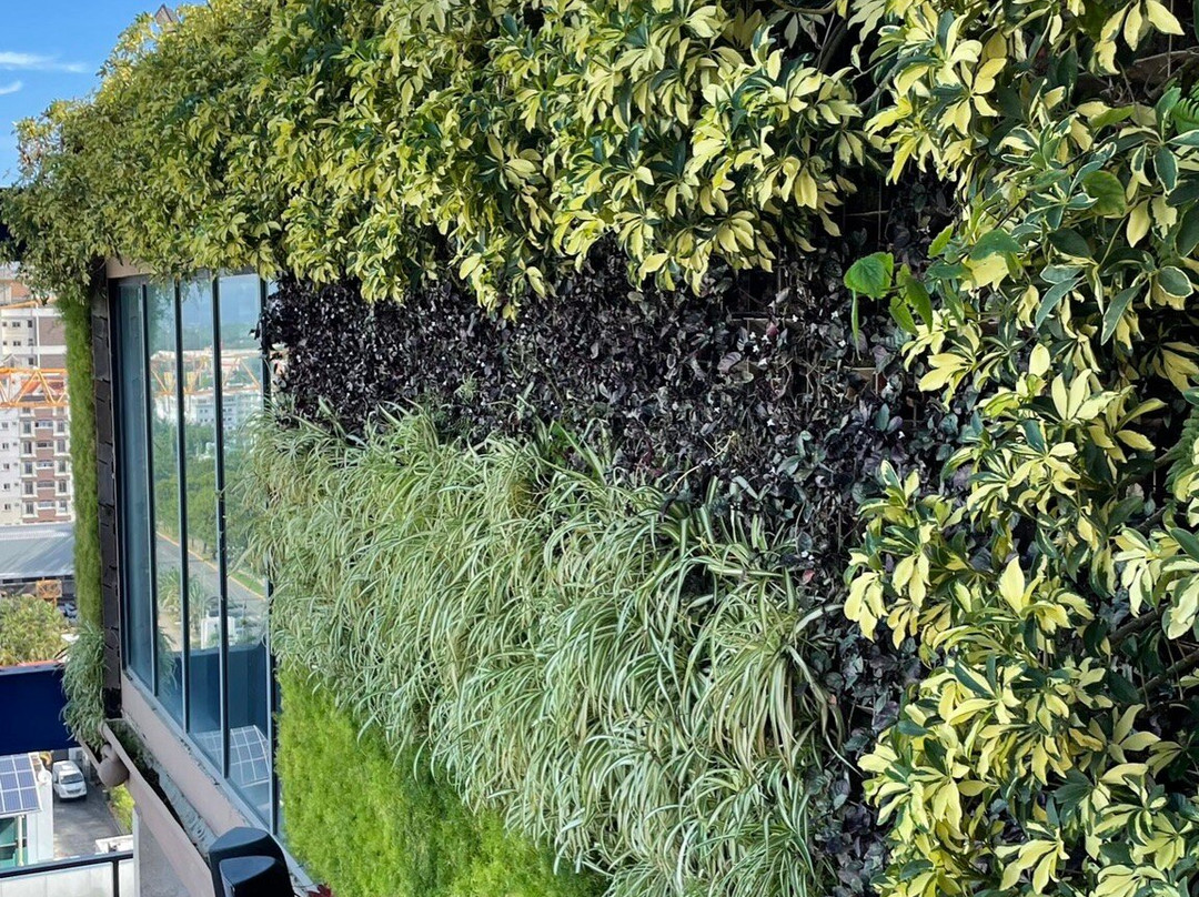 JW Marriott Hotel Santo Domingo主图