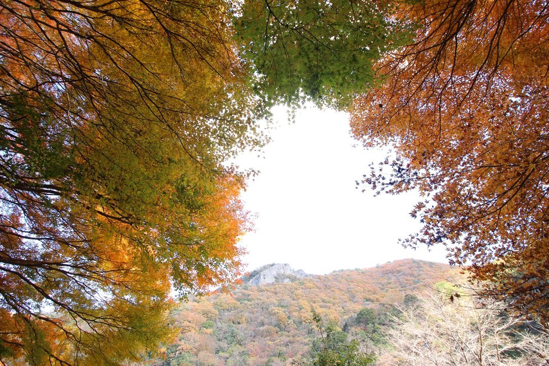 Dangyokei Gorge景点图片