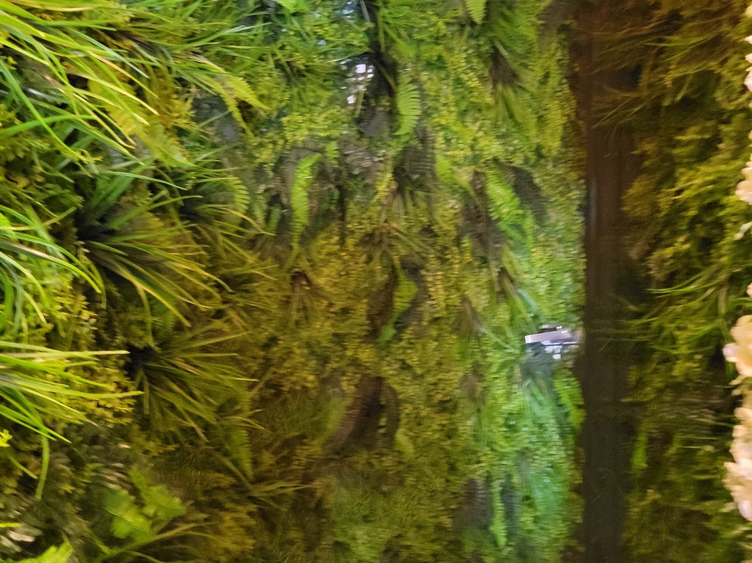 Inca Paisa Restaurant