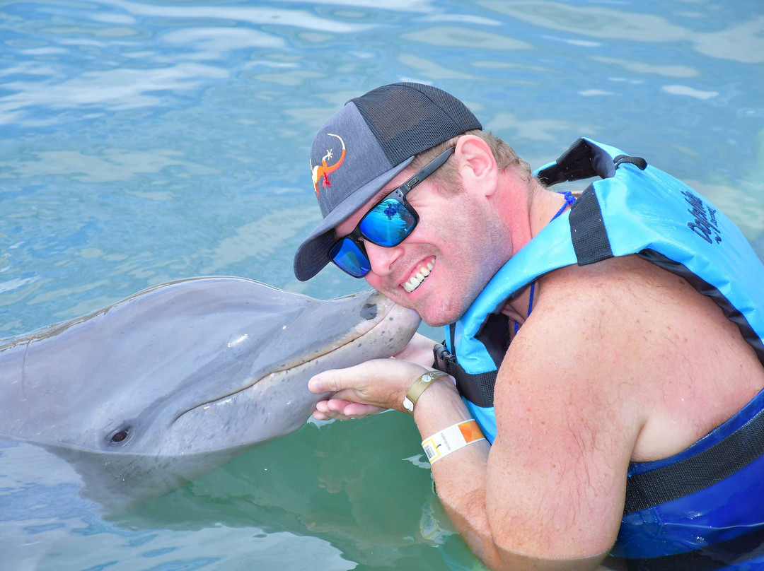 Dolphin Discovery Dreams Puerto Aventuras-阿范特拉斯港必去景点